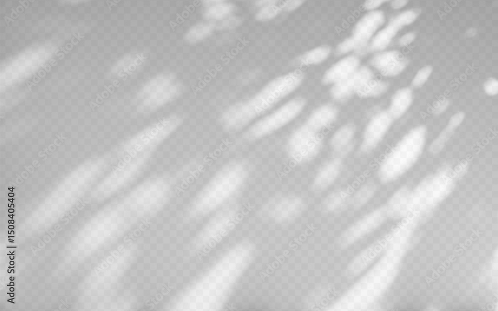 Obraz premium Abstract shadow overlay from tree branch on a transparent background.