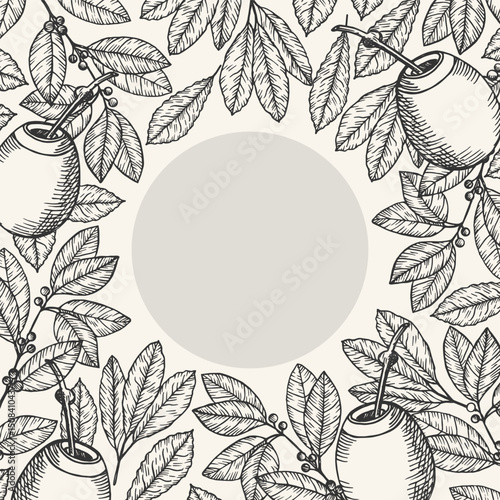 Yerba maté card for text. Hand drawn engraved border with tea branch, leaves, pumpkin calabash, fruits. Vector botanical illustration for logo, label, template print. Food, drink, medical plants