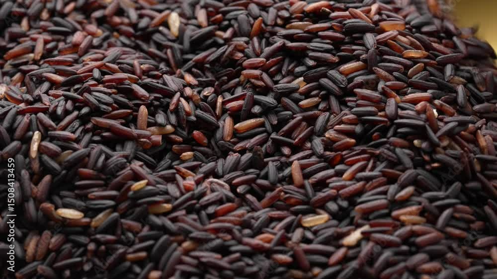 taking some black rice with a spoon from a black rice heap with clear texture and colors taking some black rice with a spoon from a black rice heap with clear texture and colors