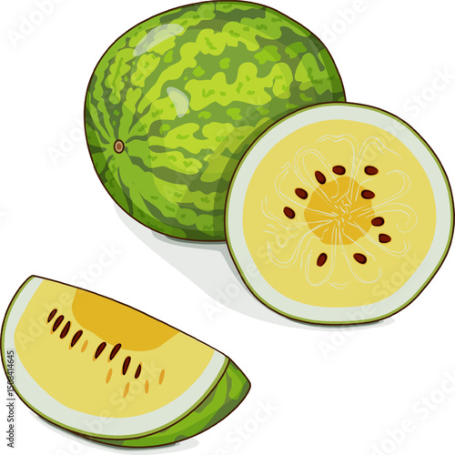 Whole and chopped Yellow Doll Watermelon. Citrullus lanatus. Vegetables. Clipart. Isolated vector illustration.