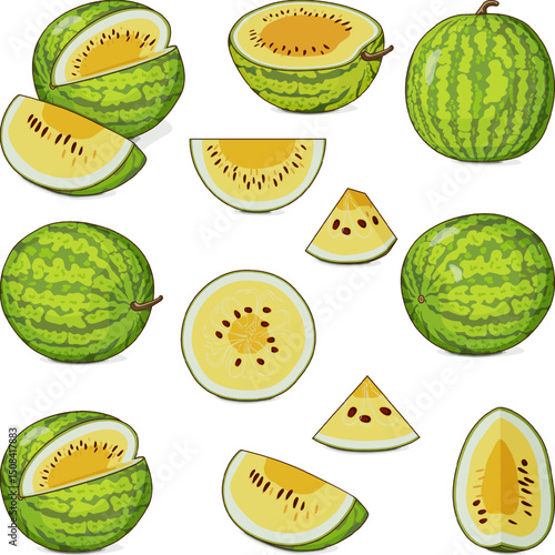 Set of Yellow Doll Watermelon. Citrullus lanatus. Fruits and vegetables. Clipart. Isolated vector illustration.