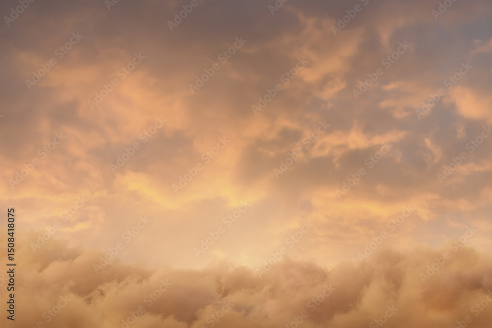 Fototapeta premium View to soft yellow sky with fluffy clouds. 3D Rendering