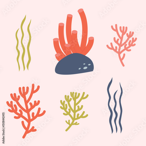 Photography Seaweed, coral reef collection set on isolated background