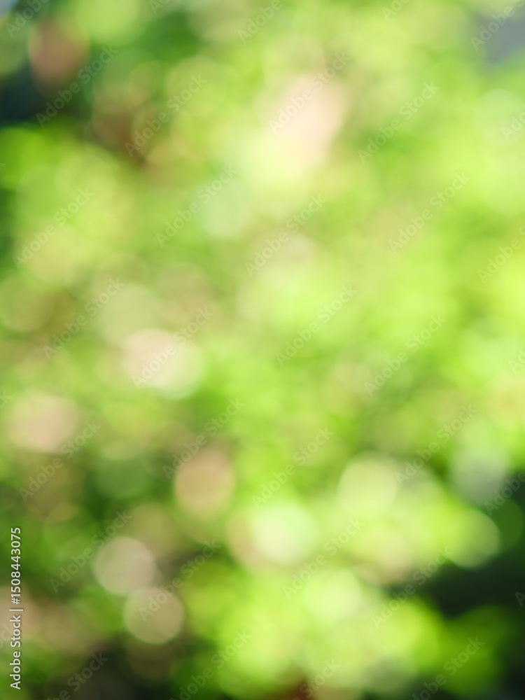 Green Bokeh Nature Background Green Bokeh Nature Background