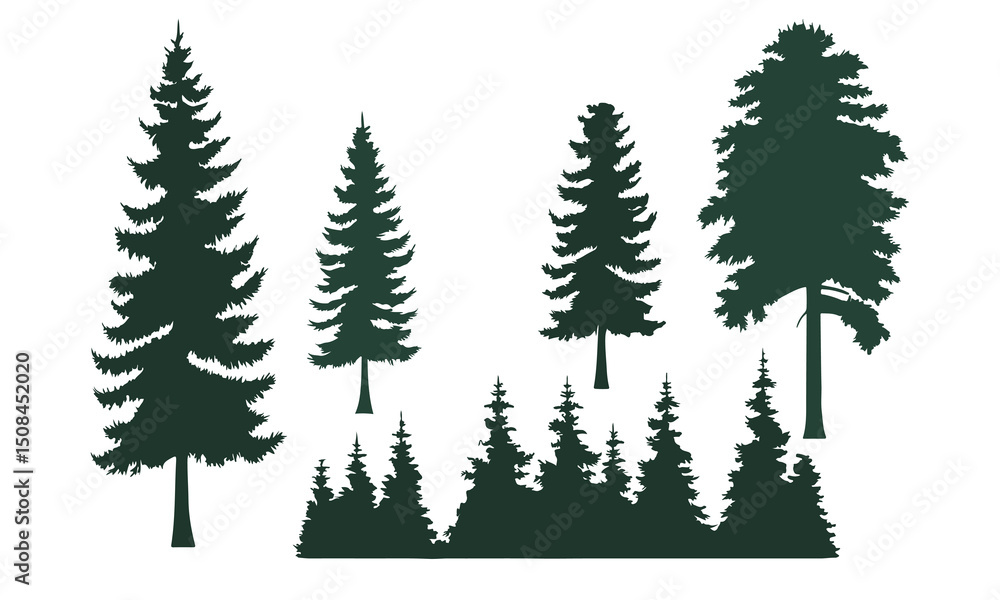 Obraz premium Evergreen Pine Tree Silhouettes vector