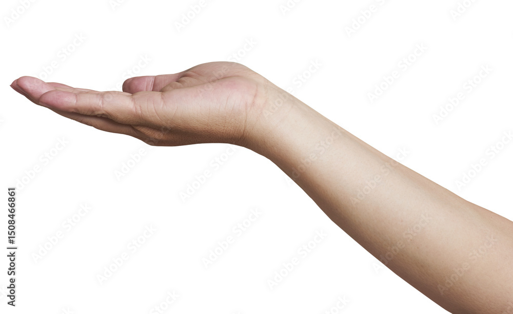 image to crop