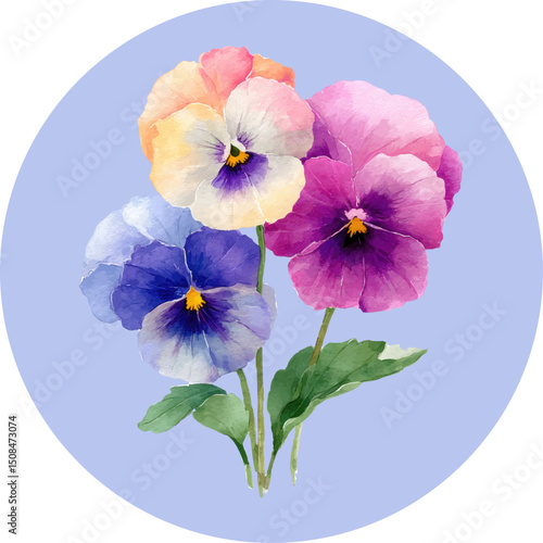 
Pansy flower clipart, watercolor illustration of three colorful pansies in pastel shades, simple flat style on a white background.