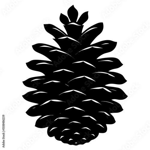 pine cone on white background 