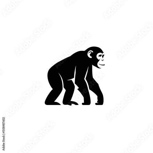 Gorilla Illustration

