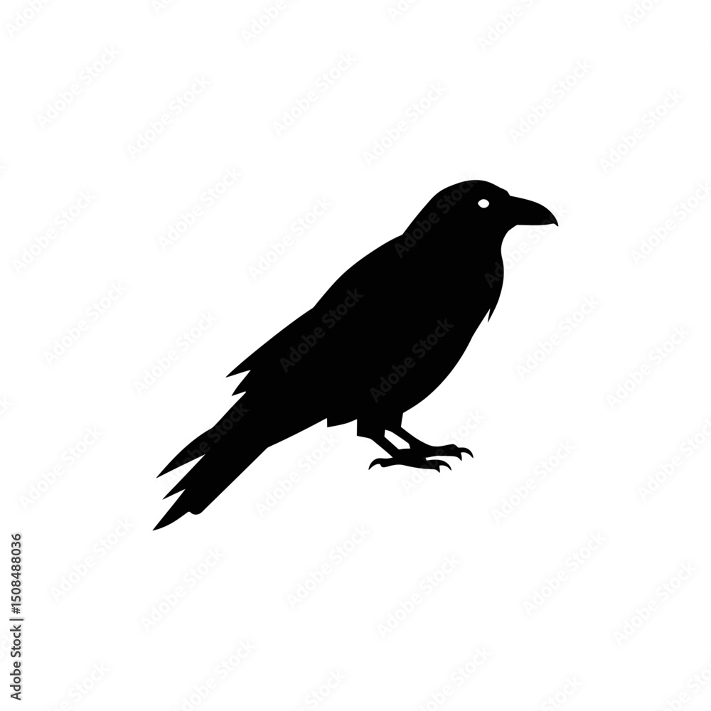 Fototapeta premium Crow Silhouette Illustration for Nature and Wildlife Use 