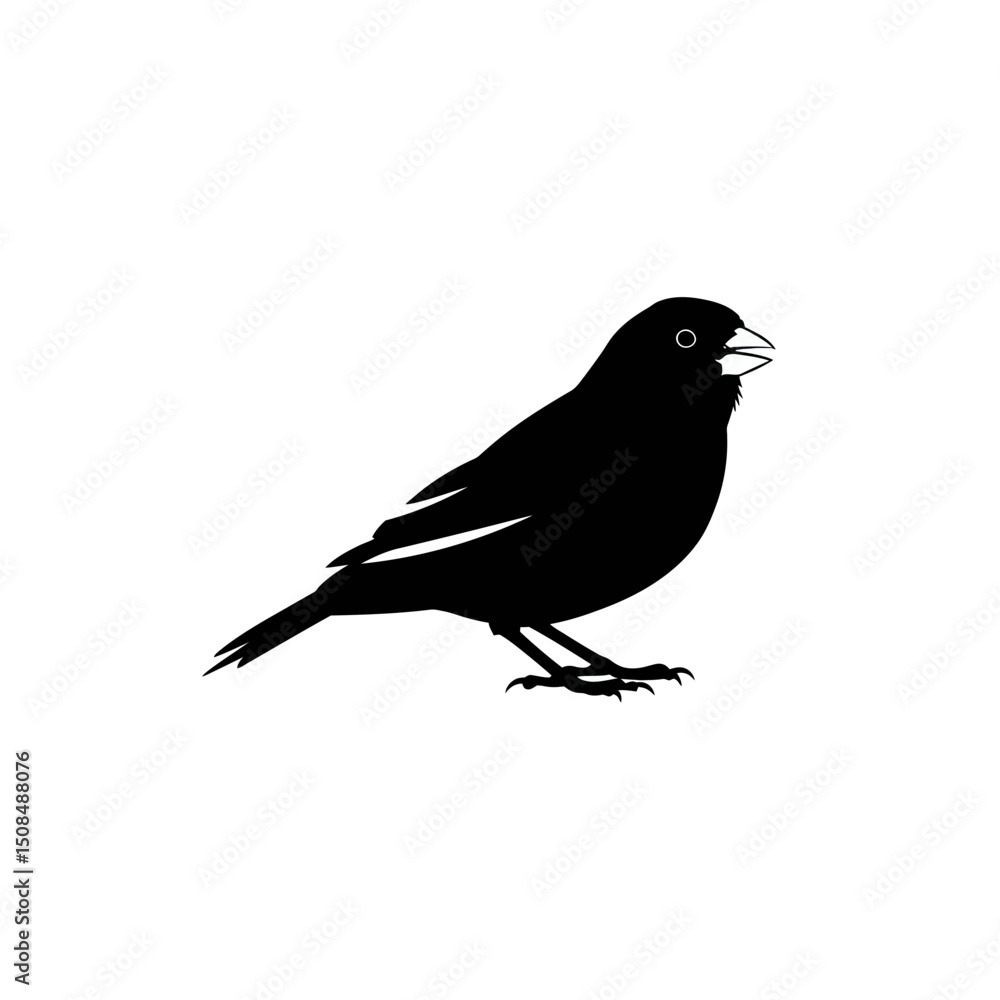 Bird Silhouette Black and White Illustration
Bird Silhouette Black and White Illustration