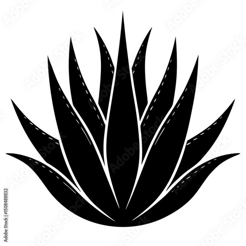 aloe vera leaf on white background .svg