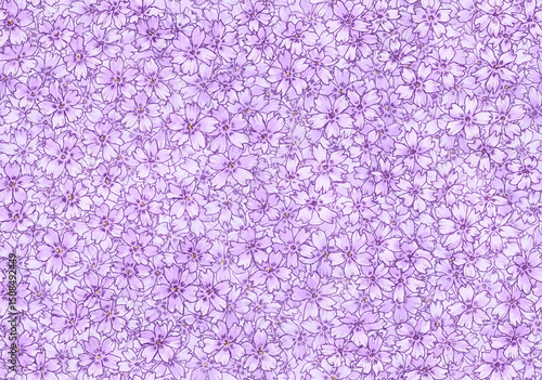 シームレスな芝桜の背景素材