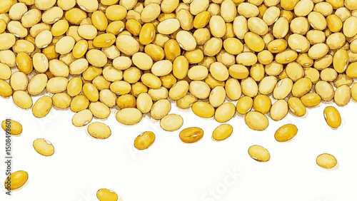 Yellow Bean Splash beans isolated watercolor vector illustration svg