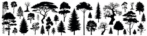 Trees set vector silhouette. Coniferous trees forest. Various bushes. Decorative trees collection