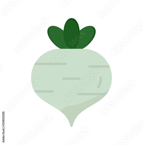 Turnip Vector Icon