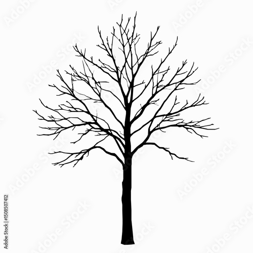 Silhouette of a bare tree isolated on white background for design and decoration purposes