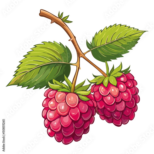 Branch of ripe raspberries color vector illustration. Image of summer red berry with leaves on isolated background. For packaging design and print for clothes