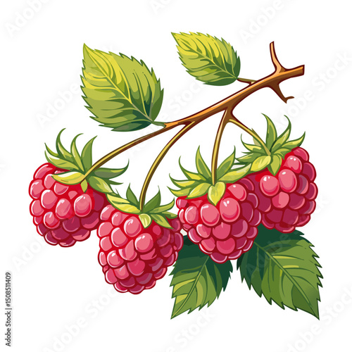 Branch of ripe raspberries color vector illustration. Image of summer red berry with leaves on isolated background. For packaging design and print for clothes