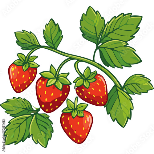 Branch of ripe strawberries color vector illustration. Image of summer red berry with leaves on isolated background. For packaging design and print for clothes