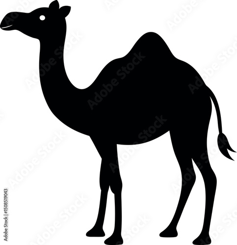 camel in desert