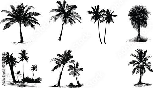 Palm tree silhouette set. Collection of tropical palm trees, Silhouette vector set of palm trees art 
