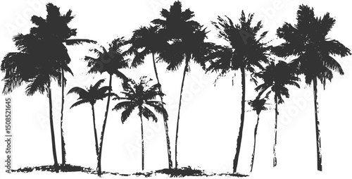 palm tree vector, Vector hand drawn palms illustration, hippie boho palm tree surfer style, palm tree