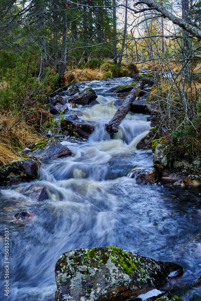 Fototapeta premium stream and waterfall in forest