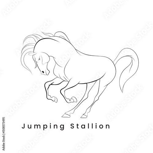 Jumping Stallion Line drawing.eps