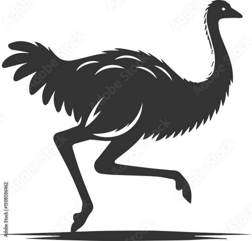 Wild bird silhouette of a emu vector drawing