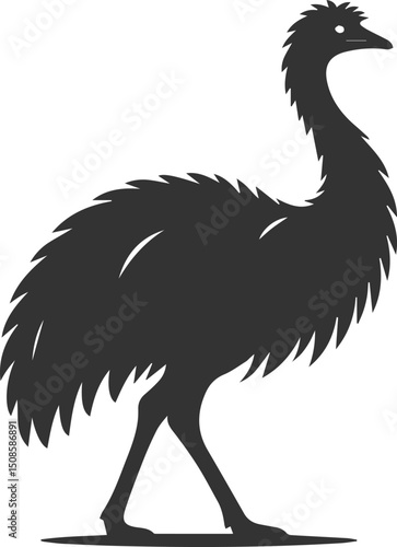 Wild bird silhouette of a emu vector drawing