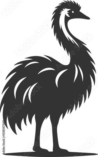 Wild bird silhouette of a emu vector drawing