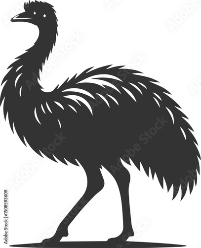 Wild bird silhouette of a emu vector drawing