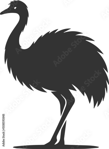 Wild bird silhouette of a emu vector drawing