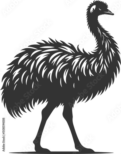 Wild bird silhouette of a emu vector drawing