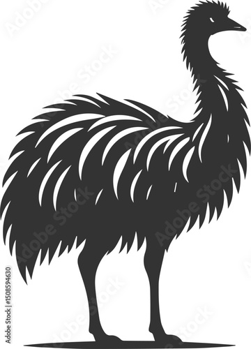 Wild bird silhouette of a emu vector drawing