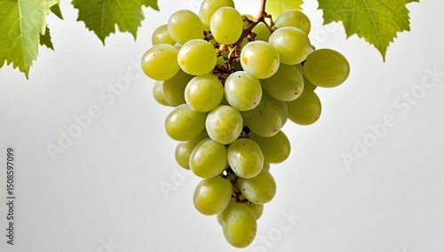 Green grapes cluster white background premium stock photo