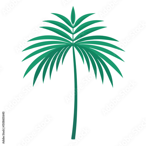 Stylized Tropical Palm Frond Illustration on white background