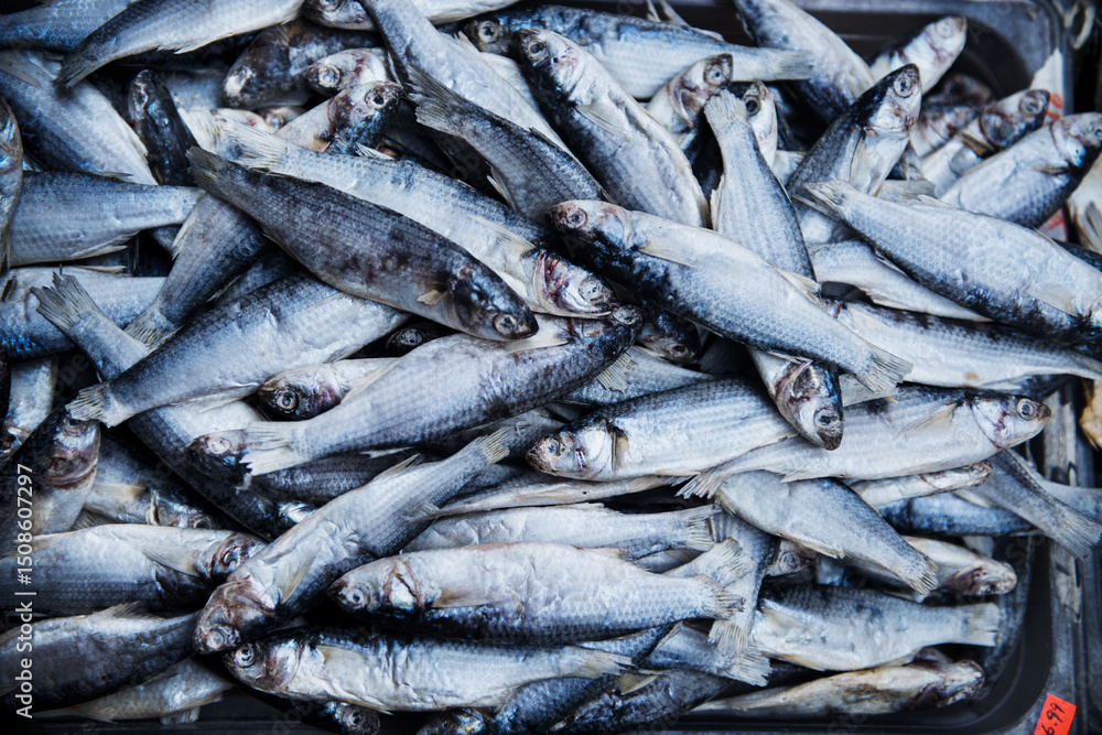 fresh herring fish for sale at the market, Chinatown, Manhattan, New York City fresh herring fish for sale at the market, Chinatown, Manhattan, New York City