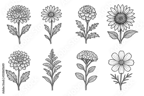 Floral Icon Sketches