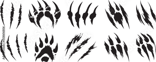 Bear Claw Marks Vector Illustration Set Isolated on White Background.