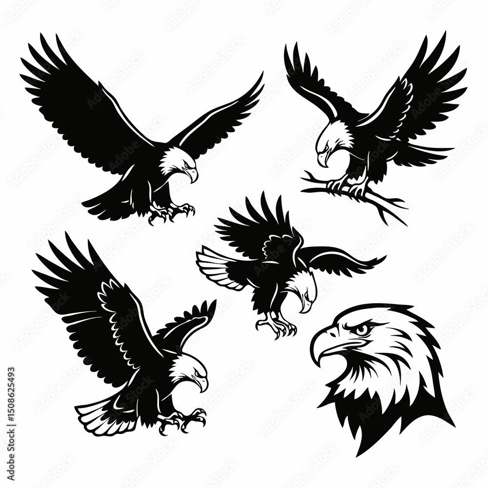 Obraz premium eagle vector illustration