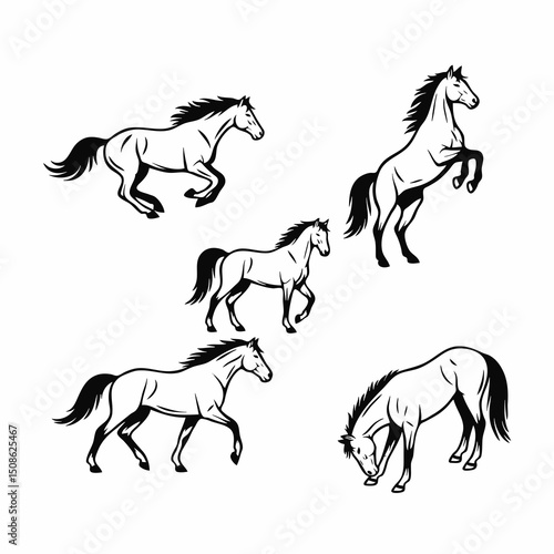 horse silhouette vector