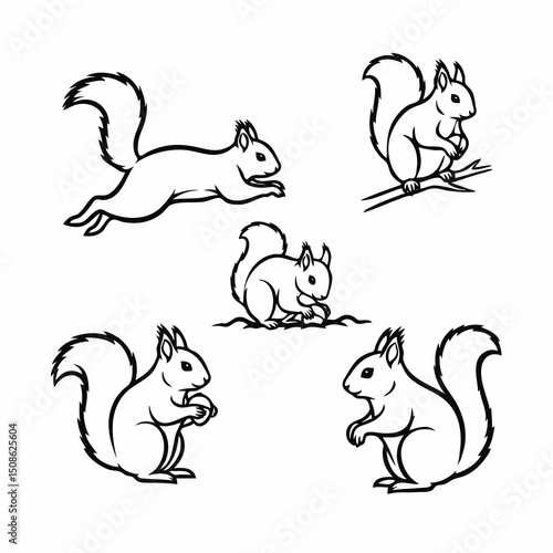 vector set of funny animals