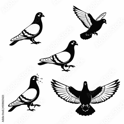birds on a branch
