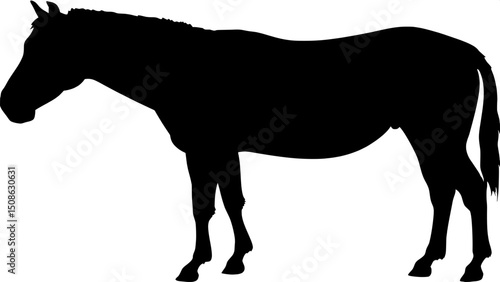"A black silhouette of a horse in the same style as a classic donkey silhouette — full view, solid black shape with clear musculature, facing left with head turned slightly toward the viewer, centered