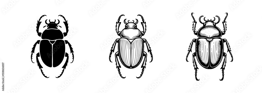 Fototapeta premium set of beetle scarab insect vector illustrations, entomology and ancient egypt symbolism