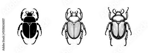 set of beetle scarab insect vector illustrations, entomology and ancient egypt symbolism