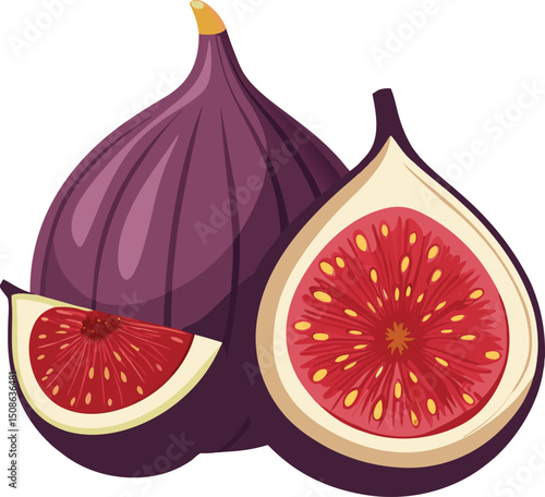 Fresh Whole and Halved Figs Vector Illustration.
