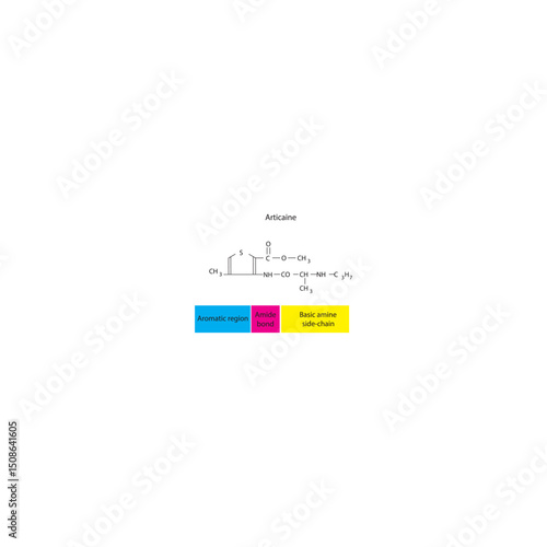 Articaine skeletal formula. Simple schematic illustration of local anesthetic molecule structure - basic amine side chain, aromatic region and Amide (with ester group) bond.